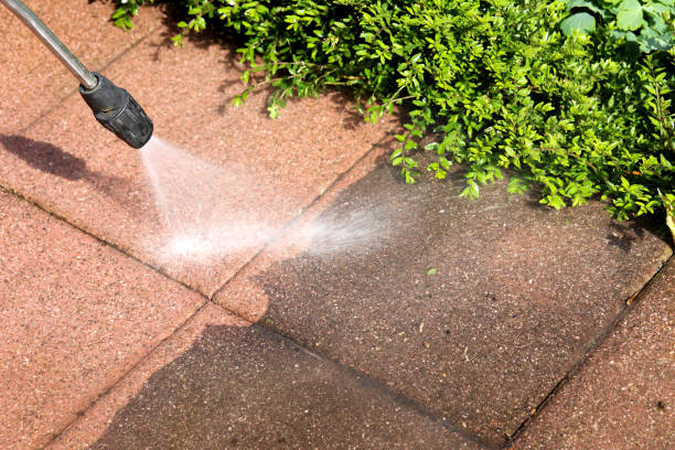 Best Power Washing Near Me  in Windermere, FL